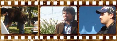 take two...silence...audio on...video tape recorder...action